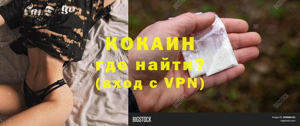 ALPHA PVP Елизово