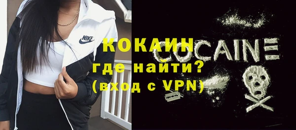 ALPHA PVP Елизово