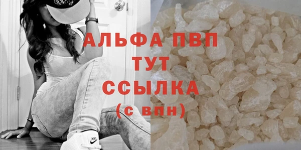 ALPHA PVP Елизово